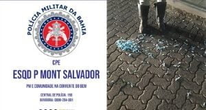 cavalaria e águia prende cocaína