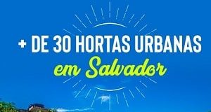 Hortas urbanas Salvador