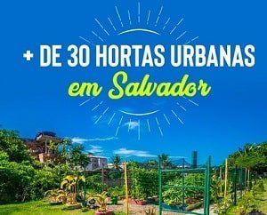 Hortas urbanas Salvador