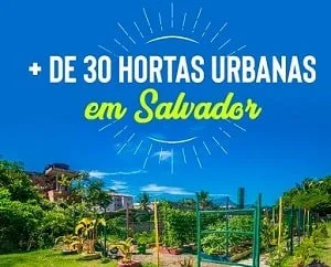 Hortas urbanas Salvador Hortas urbanas Salvador