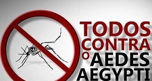 combate ao Aedes Aegypti