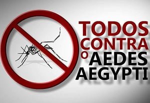 combate ao Aedes Aegypti