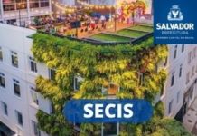 Prefeitura resgatou mais de 150 cavalos das vias públicas de Salvador em 2025 secis