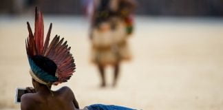 MS: Organizações denunciam que ataque deixou 10 indígenas guarani-kaiowás feridos