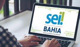 seibahia