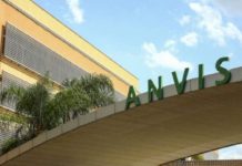 Anvisa restringe venda de azeite, sal do himalaia e chá; confira