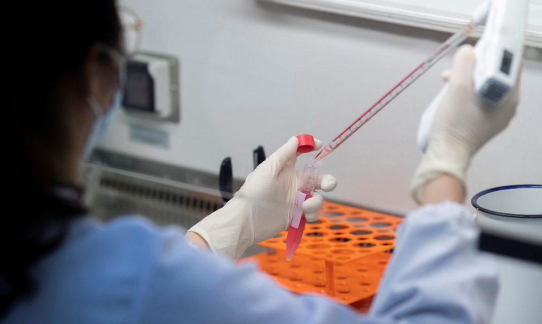 CIENCIA MULHER