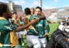 Palmeiras campeão Libertadores