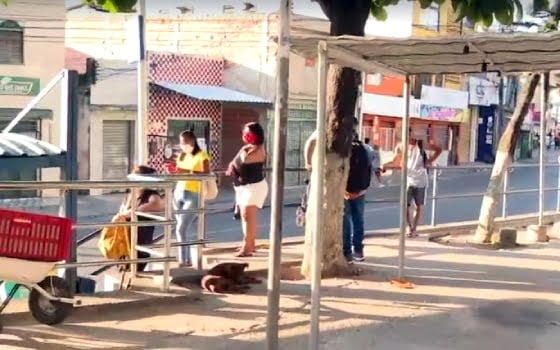 ponto de onibus