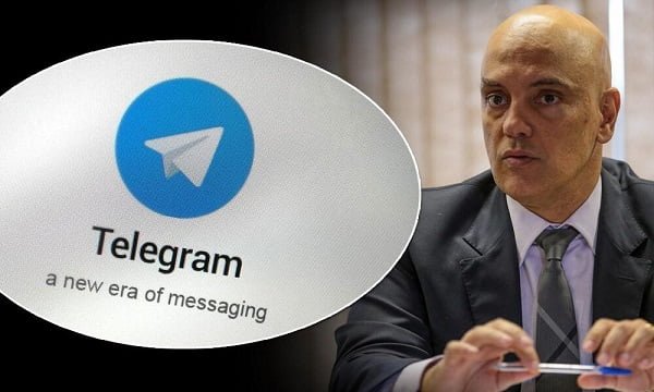 telegram stf
