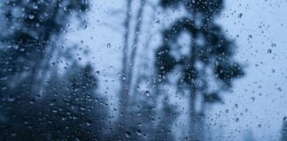 Após alagamentos, Recife entra em "estágio de mobilização"