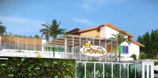 Escola Colmeia