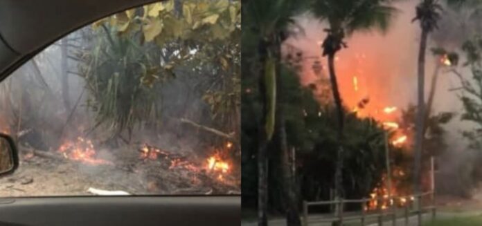 136523,incendio-e-registrado-proximo-a-resort-em-praia-do-forte-3
