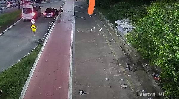 Piatã