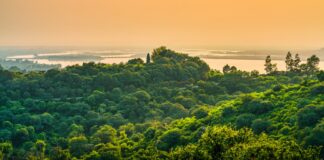 Garimpo provoca desmatamento.