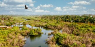 Estudo aponta que desperdício de água diminuiu no Brasil