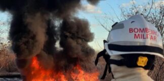 Bombeiros militares eliminaram mais de 800 incêndios florestais na Bahia