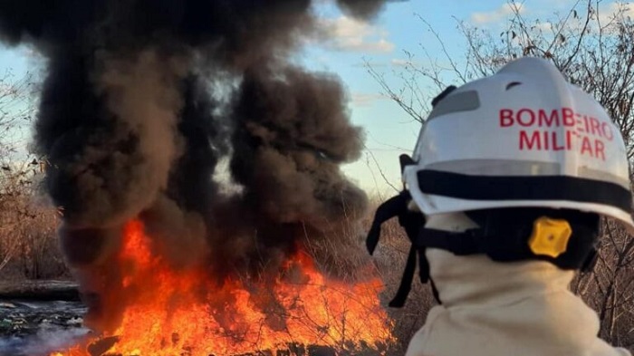Bombeiros militares eliminaram mais de 800 incêndios florestais na Bahia