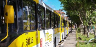 Salvador: Após bater ônibus em carro, motorista é agredido ao descer para se desculpar