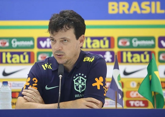técnico fernando diniz