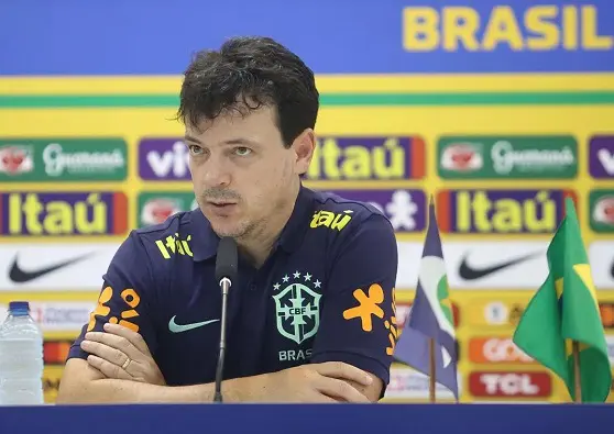 técnico fernando diniz