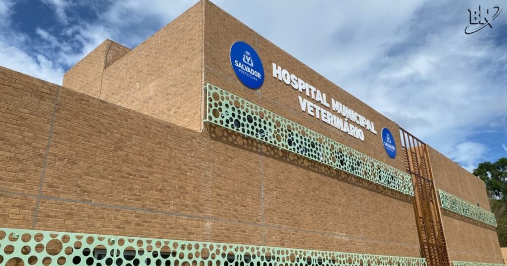 Hospital Veterinário de Salvador, unidade registra longas filas após inauguração.