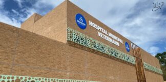 Hospital Veterinário de Salvador, unidade registra longas filas após inauguração.