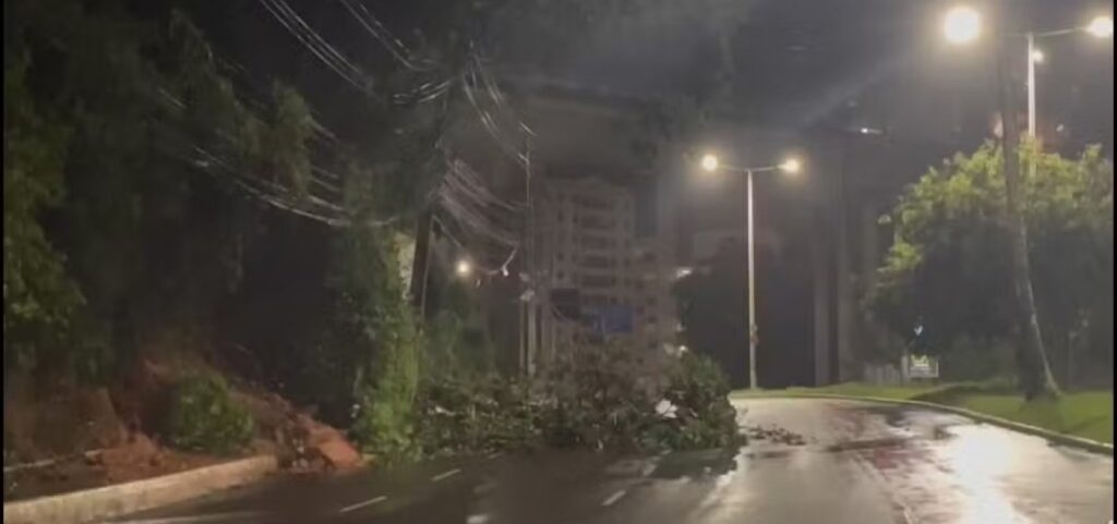 Quedas de árvores, alagamentos, travessias suspensas e sirenes acionadas, confira os impactos da chuva em Salvador.