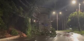 Quedas de árvores, alagamentos, travessias suspensas e sirenes acionadas, confira os impactos da chuva em Salvador.