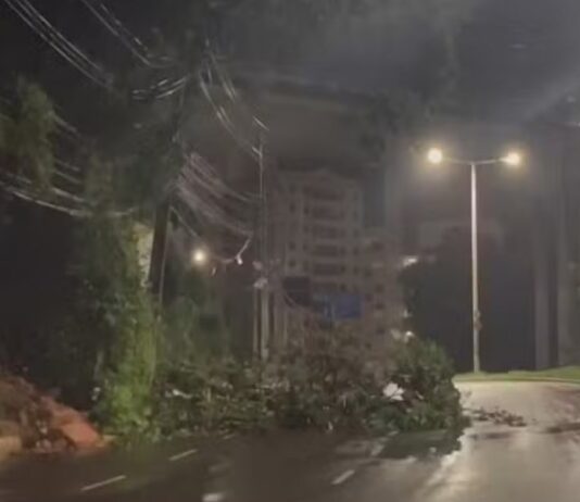 Quedas de árvores, alagamentos, travessias suspensas e sirenes acionadas, confira os impactos da chuva em Salvador.