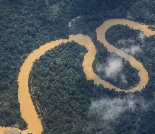 Forças Armadas estabelecem posto para combater garimpo ilegal na Terra Indígena Yanomami