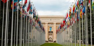 CNDH alerta ONU sobre avanço do neonazismo no Brasil.