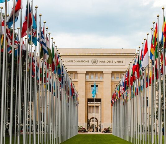 CNDH alerta ONU sobre avanço do neonazismo no Brasil.