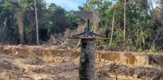 Brasil: Apenas 9,5% dos garimpos de ouro estão dentro da legalidade