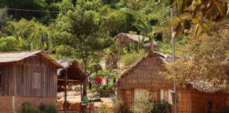 IBGE aponta que a Bahia é o estado com maior número de quilombolas no Brasil