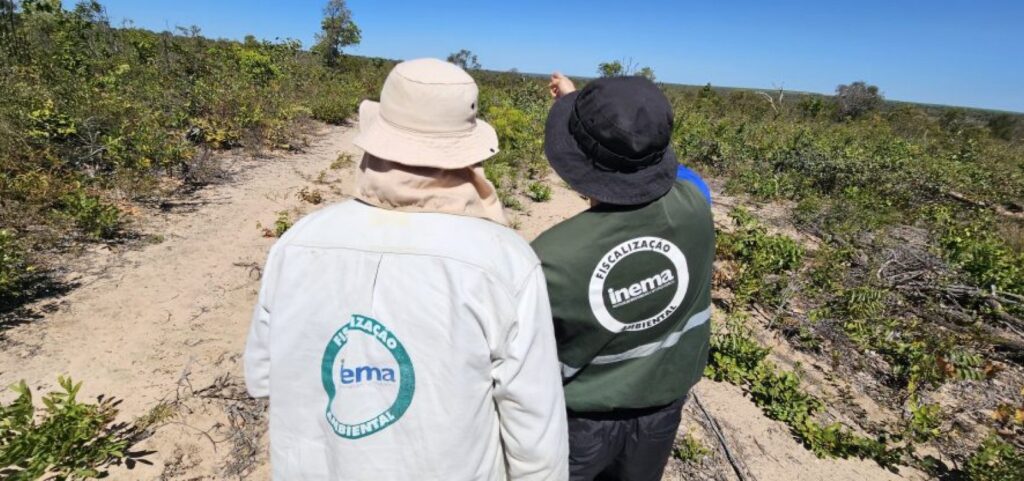 Desmatamento: Bahia registra queda de 50% no cerrado
