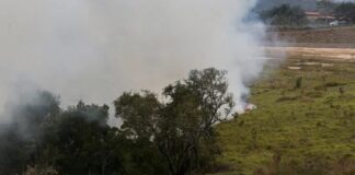 SP: Incêndios deixam 66 feridos e dois mortos