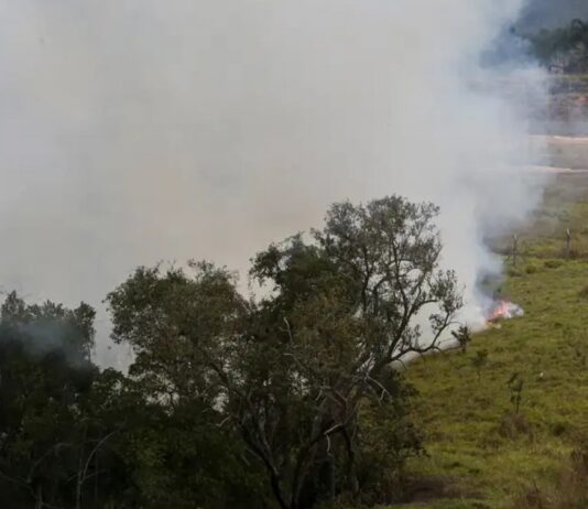 SP: Incêndios deixam 66 feridos e dois mortos