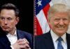 Trump diz que Elon Musk chefiará comissão de eficiência do governo