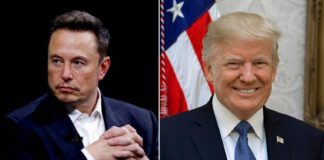 Trump diz que Elon Musk chefiará comissão de eficiência do governo