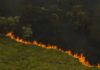 Pantanal e Amazônia enfrentaram piores incêndios em quase 20 anos, aponta observatório