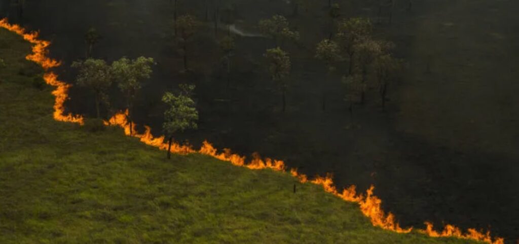 Pantanal e Amazônia enfrentaram piores incêndios em quase 20 anos, aponta observatório