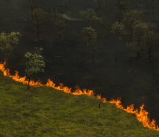 Pantanal e Amazônia enfrentaram piores incêndios em quase 20 anos, aponta observatório