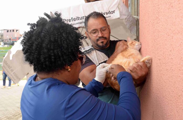 Campanha de vacinação