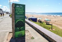 Prefeitura instala protetores para preservar mudas plantadas na orla de Salvador
