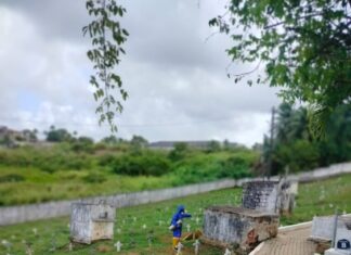 CCZ intensifica ações em cemitérios antes do Dia de Finados